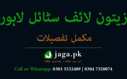Zaitoon Lifestyle Lahore Featured Image jaga
